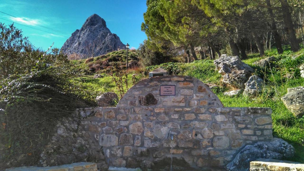 Apto Rural Fuente El Chorrito De Apartment Grazalema