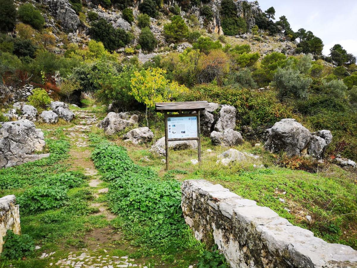 Apto Rural Fuente El Chorrito De Apartment Grazalema